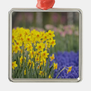 Ornamento De Metal Narcisos e Jacintos de Uva, Keukenhof