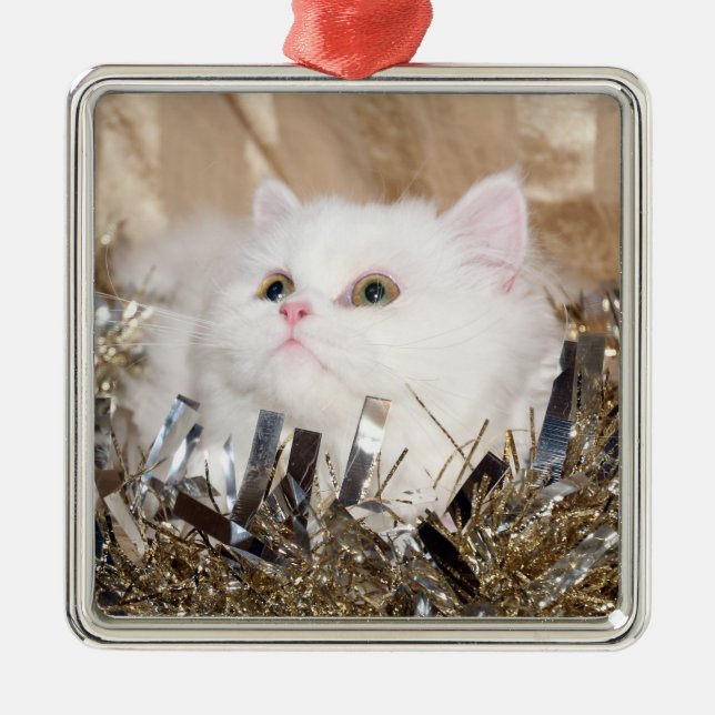 Ornamento De Metal Natal de Gato Persa Branco (Frente)