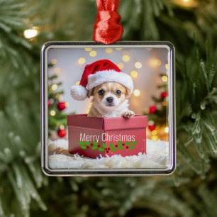 Ornamento De Metal Natal do Cachorro Chihuahua Filhote