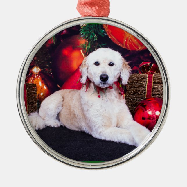 Ornamento De Metal Natal - Maggie - GoldenDoodle (Frente)