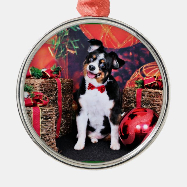 Ornamento De Metal Natal - mini Aussie - Jack (Frente)
