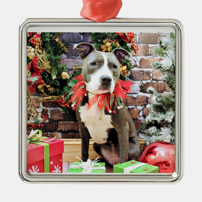 Ornamento De Metal Natal - Pitbull - encanto (Frente)