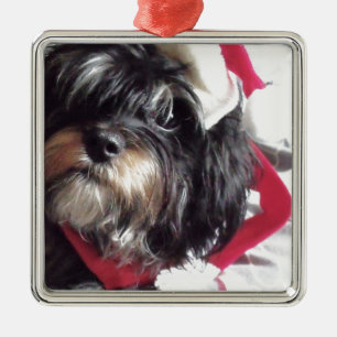 Ornamento De Metal Natal Shih Poo