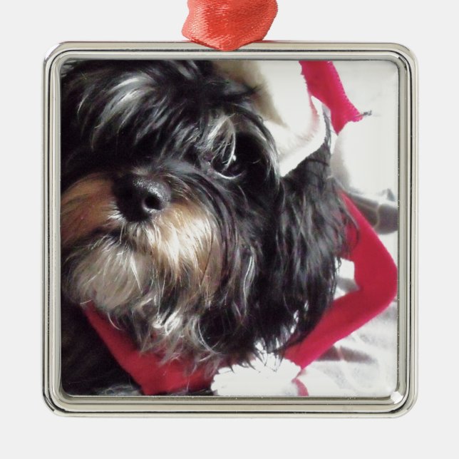 Ornamento De Metal Natal Shih Poo (Frente)