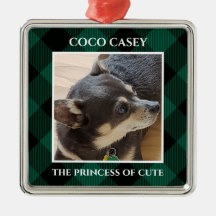 Natal Sua Xadrez de Foto Pet Buffalo