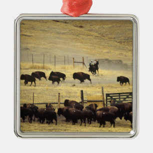 Ornamento De Metal National Bison Range Roundup em Montana