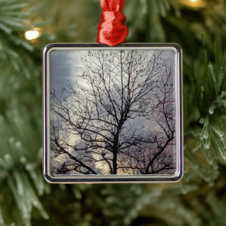 ornamento de metal natural