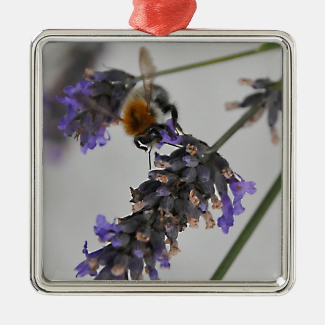 Ornamento De Metal Natures WonMaravilha Workers (Frente)