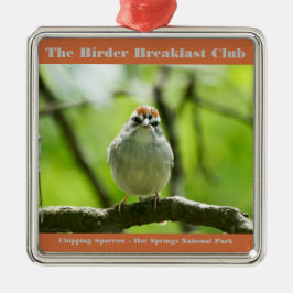 Ornamento De Metal Natureza Fotografia Chipset Sparrow Birder