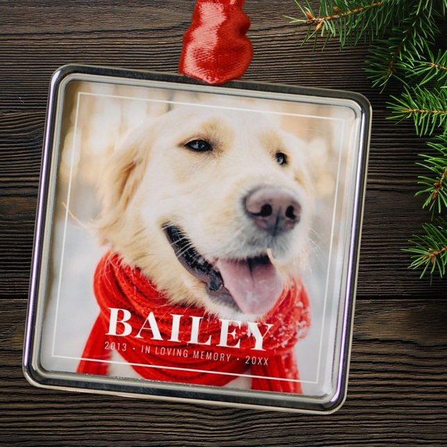 Ornamento De Metal No Loving Memory Pet Memorial Foto Framboçada (Criador carregado)