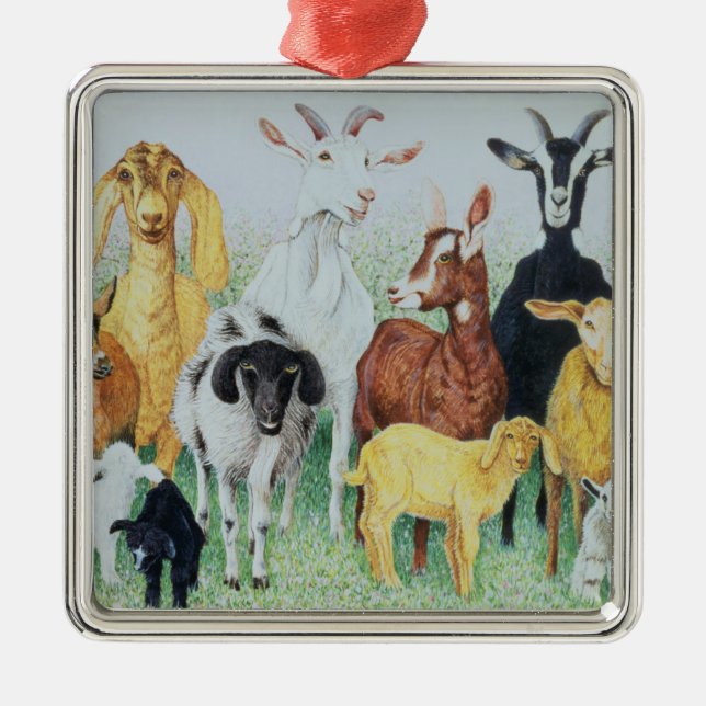 Ornamento De Metal No trevo (Frente)