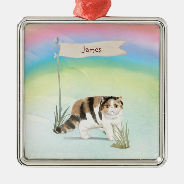 Ornamento De Metal Nome personalizado Pet de Cat. de Cabelo Curto Exó (Frente)