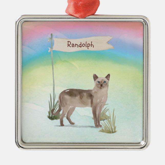 Ornamento De Metal Nome Personalizado Pet de Gato Tonquinês (Frente)
