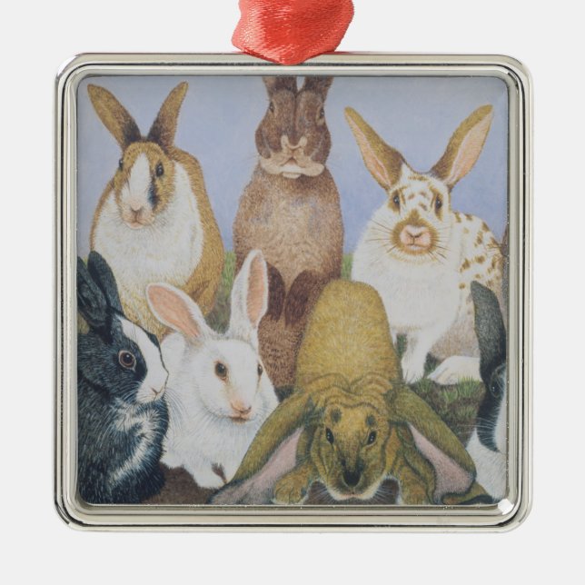 Ornamento De Metal Nós somos todas as orelhas (Frente)