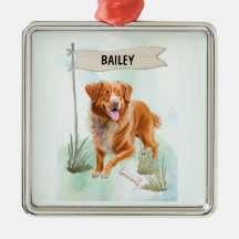 Nova Scotia Duck Tolling Retriever Watercolor Dog