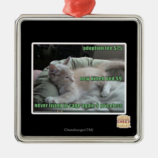 Ornamento De Metal Nunca vivendo em uma gaiola outra vez (Frente)