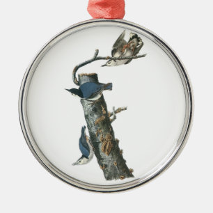Ornamento De Metal Nuthatch de peito branco por Audubon