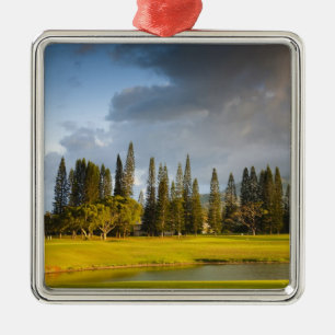 Ornamento De Metal O campo de golfe Makai em Princeville