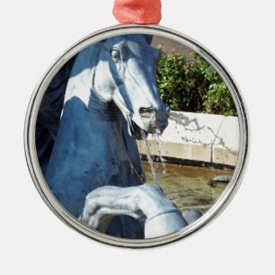 Ornamento De Metal O Cavalo de Netuno, Detalhe da Fonte de Plaza