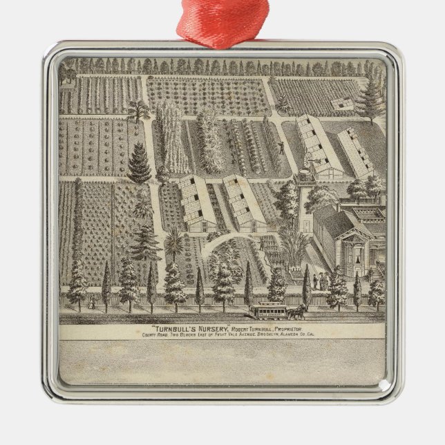 Ornamento De Metal O Enfermeiro de Turnbull, Fitch res (Frente)