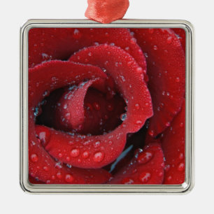 Ornamento De Metal O local coberto de decoração de rosas vermelhas