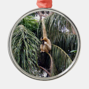 Ornamento De Metal O Macaco Gibbon Está Por Aí,