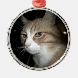 Ornamento De Metal O que ele está pensando?