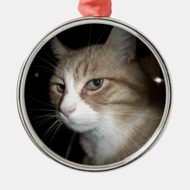 Ornamento De Metal O que ele está pensando? (Frente)