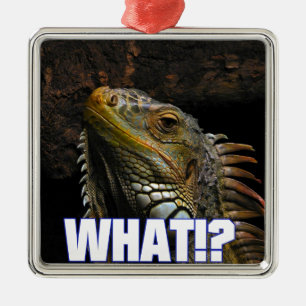 Ornamento De Metal O quê? Iguana