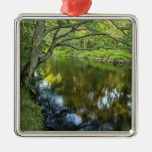 Ornamento De Metal O rio Taunton em Bridgewater,