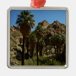 Ornamento De Metal Oásis Lost Palms I no Parque Nacional Joshua Tree