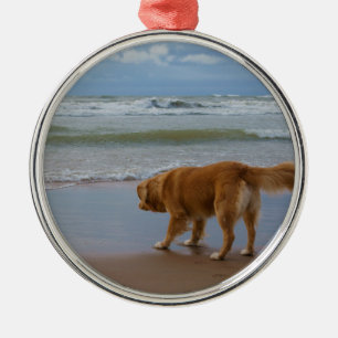 Ornamento De Metal Oceano anunciando do Retriever do pato de Nova