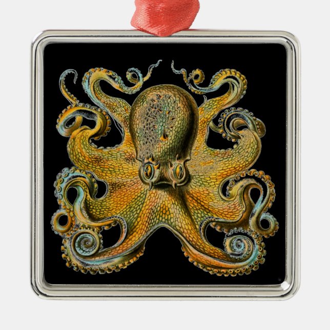 Ornamento De Metal Octopus (Frente)
