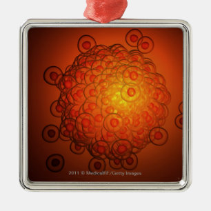 Ornamento De Metal Olhar ampliado em um óvulo