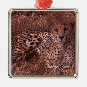 Ornamento De Metal Olhar fixo da chita