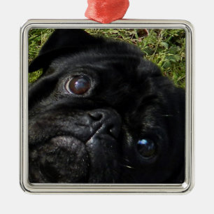 Ornamento De Metal olhos do preto-pug
