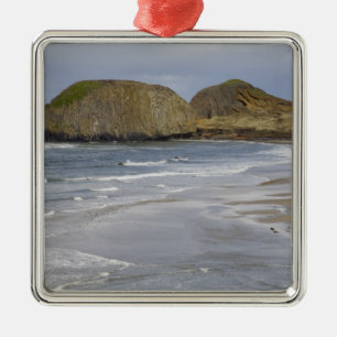Ornamento De Metal OR, Costa do Oregon, Parque Estadual Seal Rock,