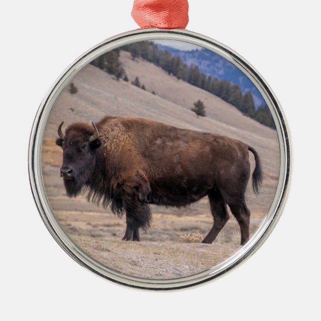 Ornamento De Metal Oranato de Buffalo Bison (Frente)