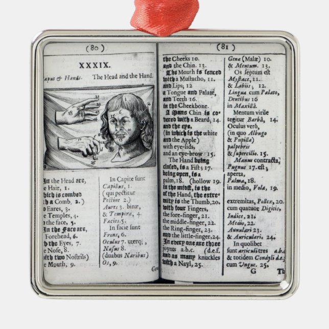 Ornamento De Metal 'Orbis Sensualium Pictus (Frente)