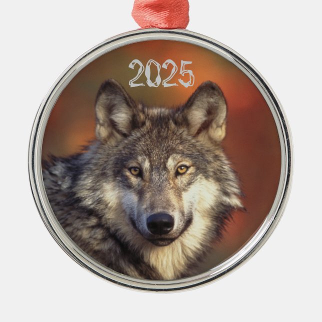 Ornamento De Metal Ornament de Wolf da cinza (Frente)