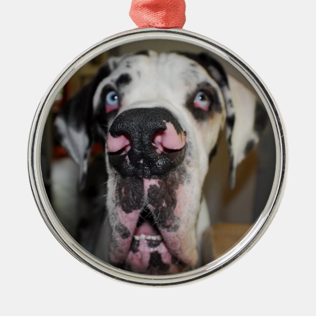 Ornamento De Metal Ornamentdoggen (Frente)