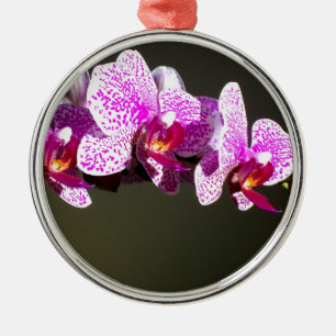 Ornamento De Metal Orquídeas cor-de-rosa floral, cor-de-rosa, Elegant