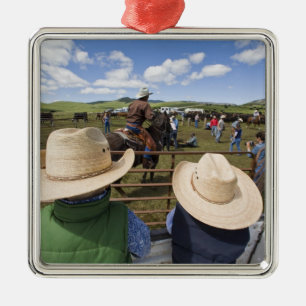 Ornamento De Metal Os meninos novos recolhem o rancho 2007 de Hughes