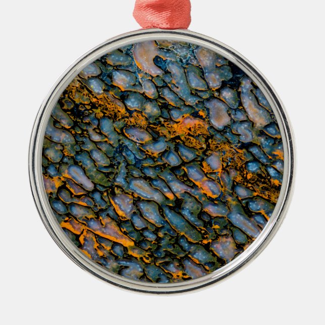 Ornamento De Metal Osso do Dinossauro Petrificado (Frente)