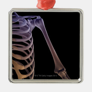 Ornamento De Metal Ossos do ombro