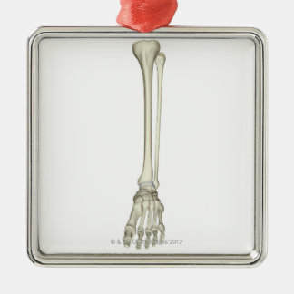 Ornamento De Metal Ossos do pé