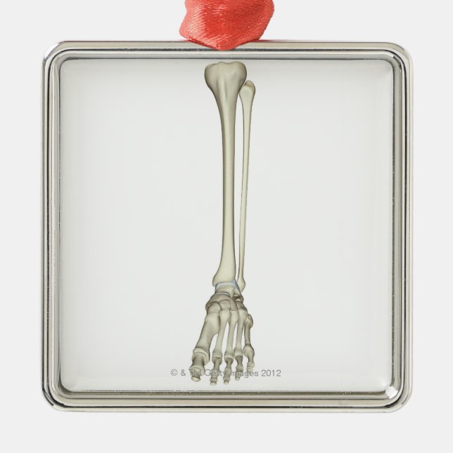Ornamento De Metal Ossos do pé (Frente)