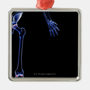 Ornamento De Metal Ossos do quadril