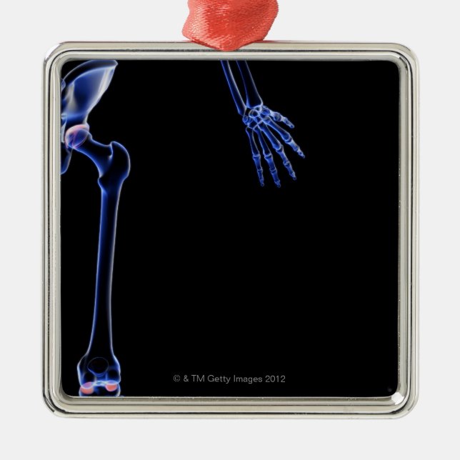 Ornamento De Metal Ossos do quadril (Frente)