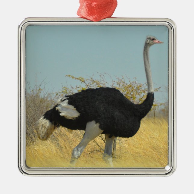 Ornamento De Metal Ostrige para uma corrida (Frente)